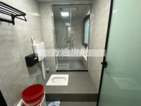 其它图