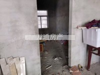 其它图