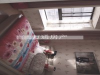 其它图
