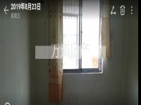 其它图