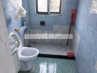 其它图