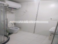 其它图