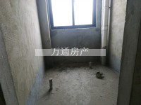 其它图