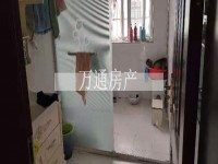 其它图