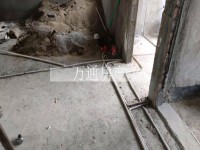 其它图