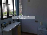 其它图