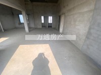 其它图