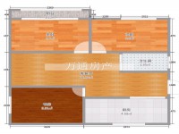 其它图