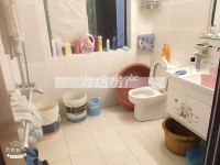 其它图