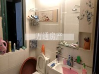 其它图