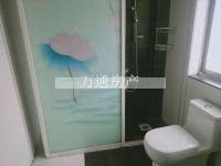 其它图