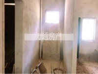 其它图