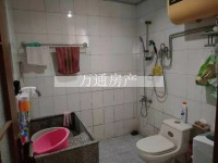 其它图