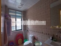 其它图