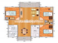 其它图