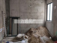 其它图