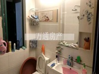 其它图